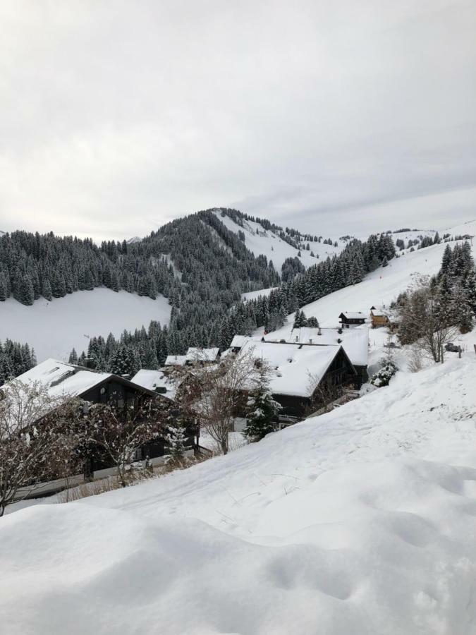 Chalet Lys Apartment 14 Rue Sigma Champoussin Exterior photo